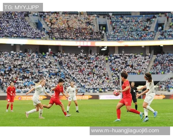 足球赛事全景解析从国际大赛到地方联赛的全面介绍